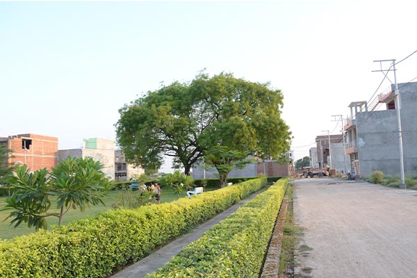 KDA Approved Plots in Kanpur: All That You Need to Know